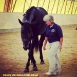 Profile Picture of Marie Hoffman TotalHorseMethod (@totalhorsemethod) on Instagram