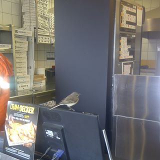 Profile Picture of Gregory Uren (@gregory.uren.92) on Facebook