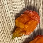 Profile Picture of Raymond Grossman (@Raymond-Grossman) on Facebook