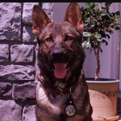 Profile Picture of Dan Settle (@missionhillscj) on Twitter