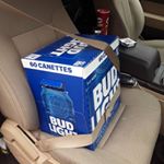 Profile Picture of Bryan Riddell (@bryan.riddell) on Instagram