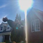 Profile Picture of Michael Sturdivant (@michael____flips) on Instagram