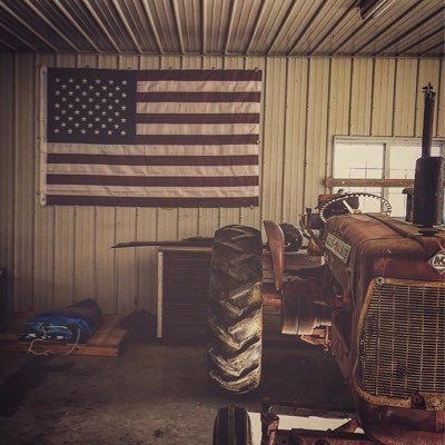 Profile Picture of Matthew Butterfield (@MattButterknife) on Twitter