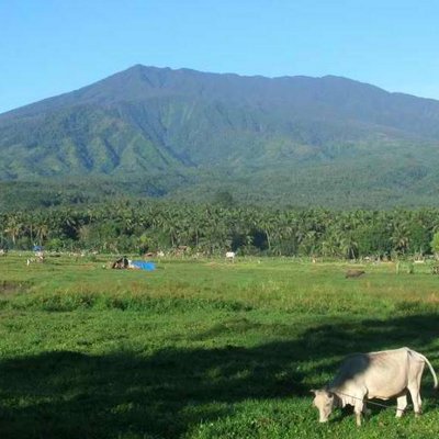 Profile Picture of James A. Vetter (@stogonyc1) on Twitter