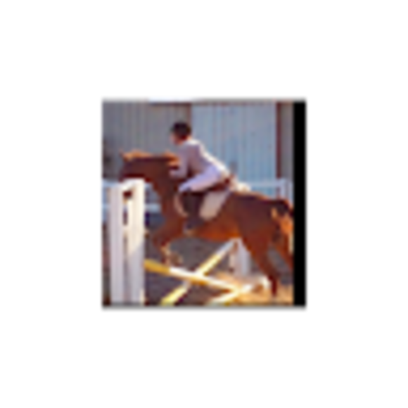 Profile Picture of Shira Greenstein (@shiragreenstein) on Poshmark