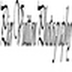 Profile Picture of Nelson Rivera (@pier vuitton photography) on Flickr