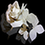 Profile Picture of Th?nh Ho?ng Trung (@H.T.Thanh) on Flickr