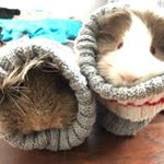 Profile Picture of Albert&Remie (@albert_remie) on Instagram