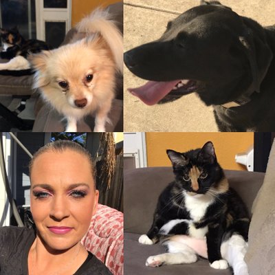 Profile Picture of Samantha~ 2 Hearts Animal Haven (@SamBraddock723) on Twitter