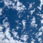 Profile Picture of Addie Campbell (@dragonslaayer) on Instagram