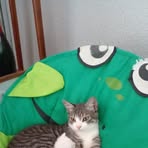 Profile Picture of Claudette Gellis (@Claudette-Gellis) on Facebook