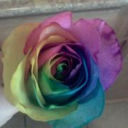 Cassandra LaFord - Pinterest Profile Picture of Cassandra LaFord (@cassandra6384) on Pinterest