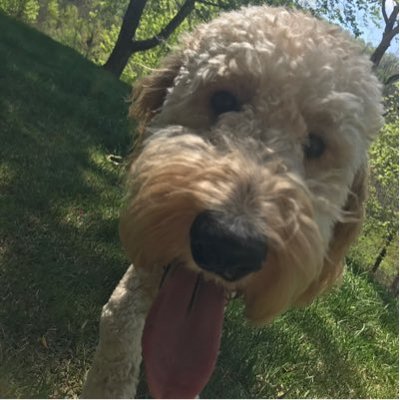 Profile Picture of Casper (@ThompsonMatt1) on Twitter
