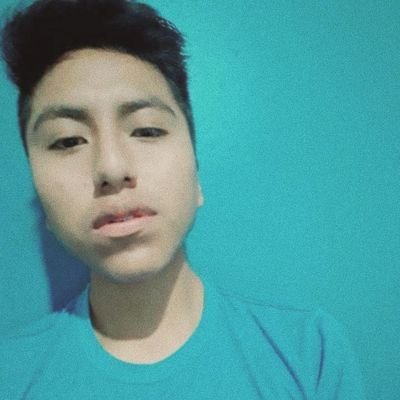 Profile Picture of Bryan Salazar Neyra (@salazar_neyra) on Twitter