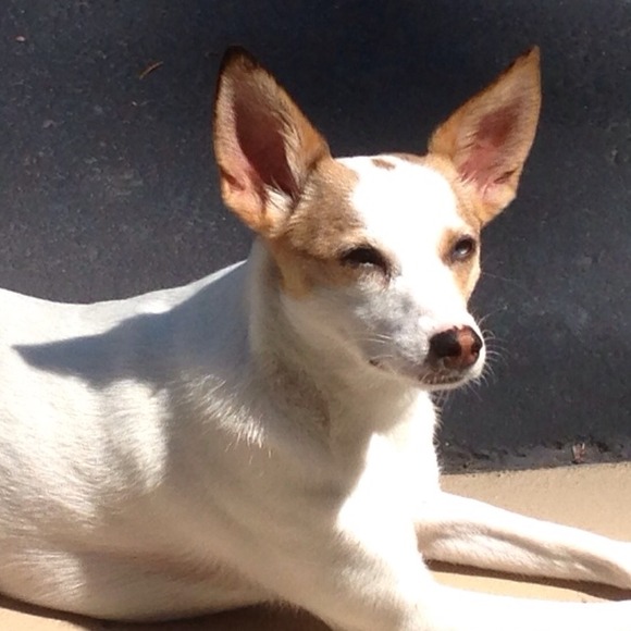 Profile Picture of Miranda Rozecki (@mroz10) on Poshmark