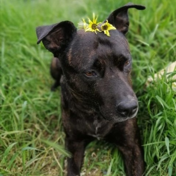 Profile Picture of Dai Dailyn (@mentaldailyn7) on Poshmark