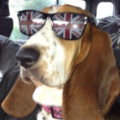 Profile Picture of Tom Robey (@Tomboe33) on Twitter