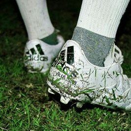 Profile Picture of Harrop (@EricZJS) on Twitter