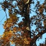 Profile Picture of Michael Wysong (@michael.wysong) on Instagram