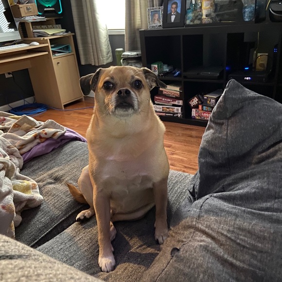 Profile Picture of Hailey Quintal (@haileyq24) on Poshmark