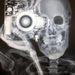 Profile Picture of Carlo Veltri (@koalacarlo79) on Pinterest