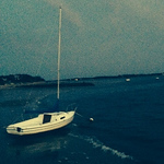 Profile Picture of thomas jenkins (@pedalspecialized) on Flickr