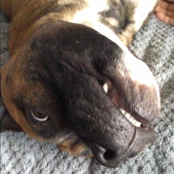 Profile Picture of Charlotte Dunster (@c_dunster) on Poshmark