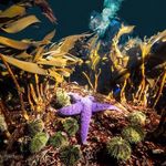 Profile Picture of Bert Evens (@evens.bert) on Instagram