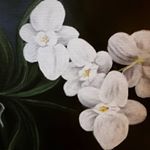 Profile Picture of caroline exum (@jackie_wood1234) on Instagram