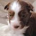 Profile Picture of Brad Currier (@brad.currier.58511) on Facebook