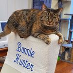 Profile Picture of Bonnie K Hunter (@quiltville_bonnie) on Instagram