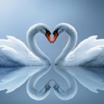 Profile Picture of Mimi Tao (@gxchx_mimi) on Instagram