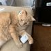 Profile Picture of Joseph (@joseph_arends) on Pinterest