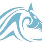 Profile Picture of Beach Acre Farm/Kristina Muse (@beachacrefarm) on Instagram
