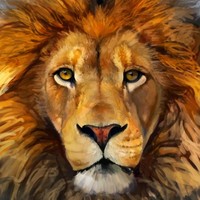 Profile Picture of Clint Fields (@clint-fields) on Quora