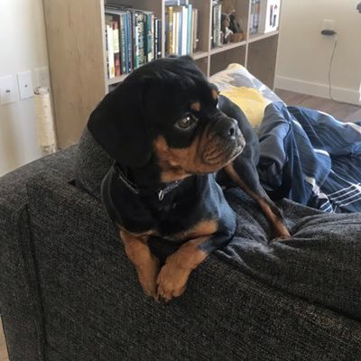 Profile Picture of Matt Wicker (@ShadowArkMMF) on Twitter
