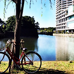 Profile Picture of Tung Do (@sontung.hitotsubashi) on Flickr