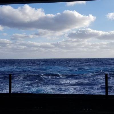 Profile Picture of Kenya Wright (@monet387) on Twitter