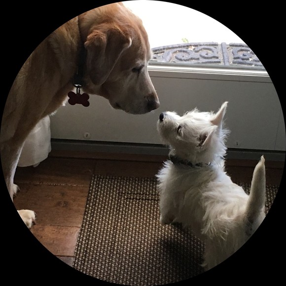 Profile Picture of Shelly Tamura (@shellytamura) on Poshmark