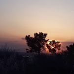 Fewer - Instagram Profile Picture of Fewer (@adam_fewer) on Instagram