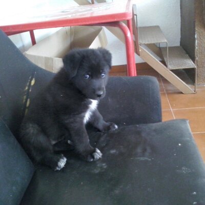 Jorge Puerto - Twitter Profile Picture of Jorge Puerto (@jorgepuerto86) on Twitter