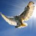 Profile Picture of Jean Falk (@jean.falk.376) on Facebook