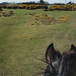 Profile Picture of Nancy Fleming (@nancy_j_fleming) on Instagram