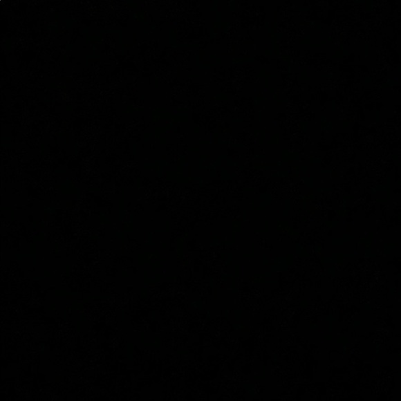 Profile Picture of E Boyd (@eboyd301) on Poshmark