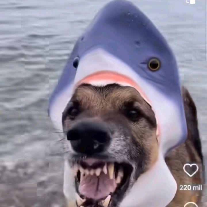 Profile Picture of Enrique Ruiz (@alexander_lizama7) on Tiktok