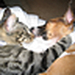 Profile Picture of Annie&john Nguyen (@john & annie) on Flickr