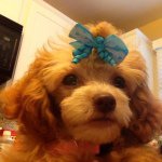 Profile Picture of Nancy Yost Borkovec (@nborkovec) on Instagram