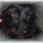 Profile Picture of Colin Boucher (@colinbou01) on Instagram