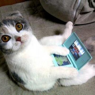 Profile Picture of Kevin M Callihan (@MODAWK) on Twitter