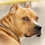 Profile Picture of wilfred (@wilfred_jimenez) on Instagram